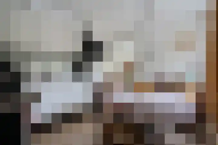 Hooybrink 2 Vledder thumbnail 13