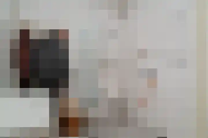 Hooybrink 2 Vledder thumbnail 19