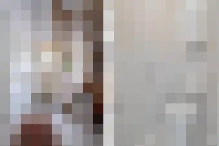 Hooybrink 2 Vledder thumbnail 21