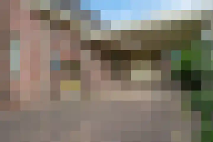 Hooybrink 2 Vledder foto 3
