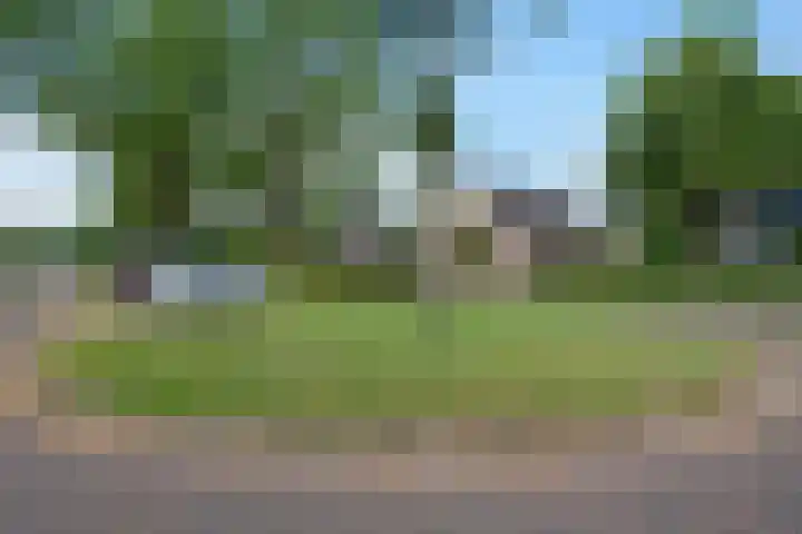 Hooybrink 2 Vledder thumbnail 33