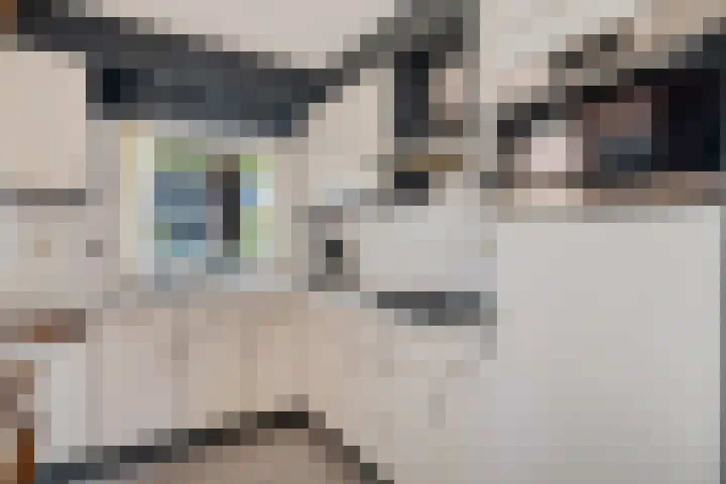 Hooybrink 7 Vledder thumbnail 11