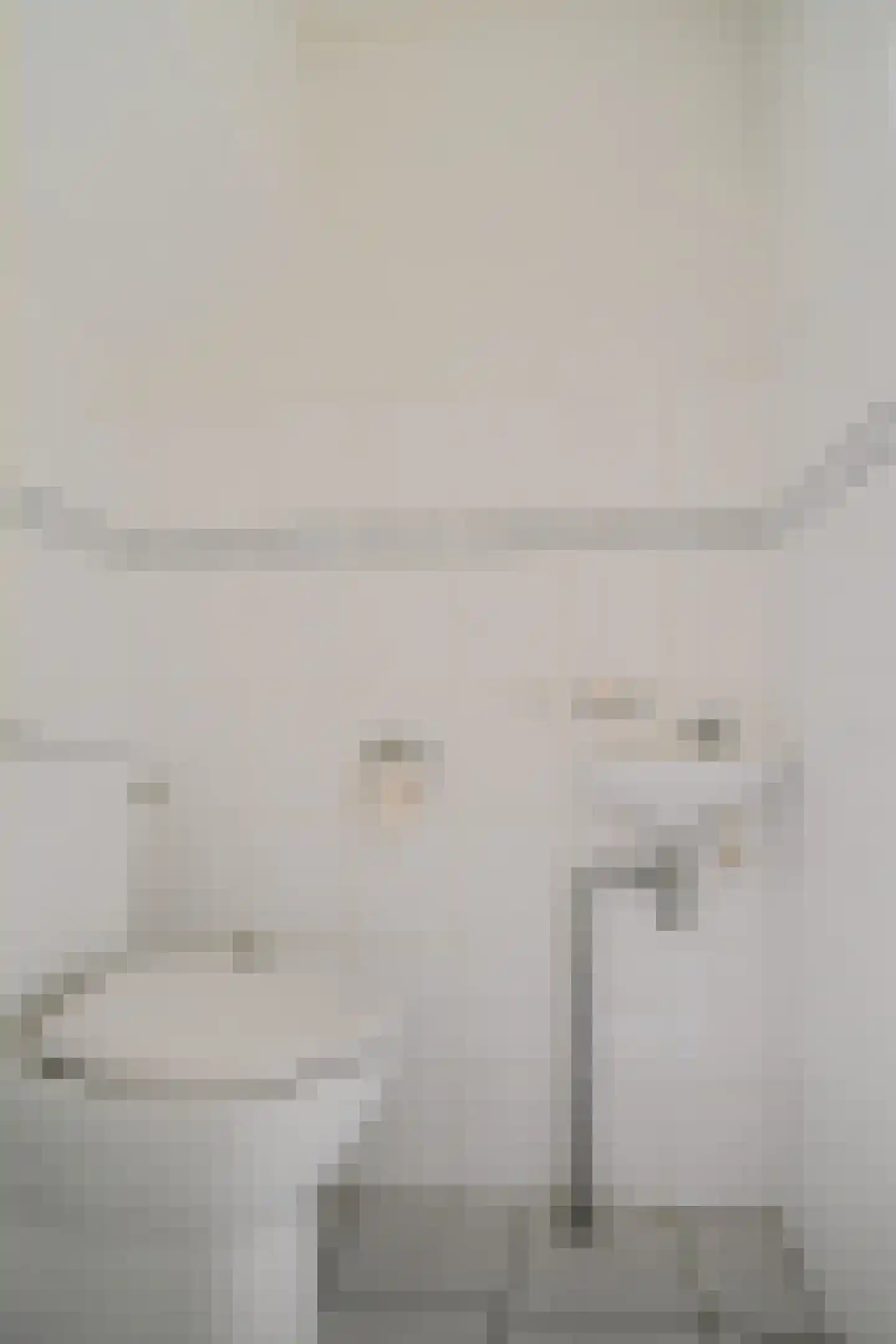 Hooybrink 7 Vledder thumbnail 15