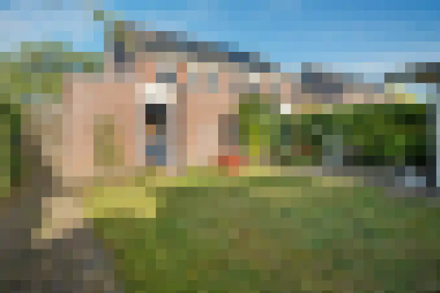 Hooybrink 7 Vledder foto 2