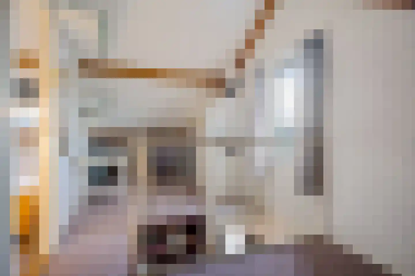 Hooybrink 7 Vledder thumbnail 26