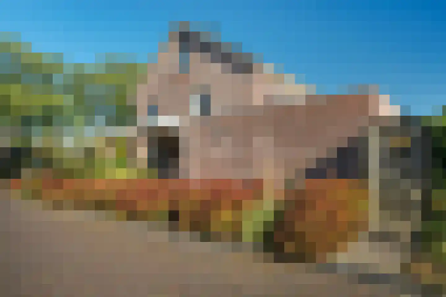 Hooybrink 7 Vledder foto 3