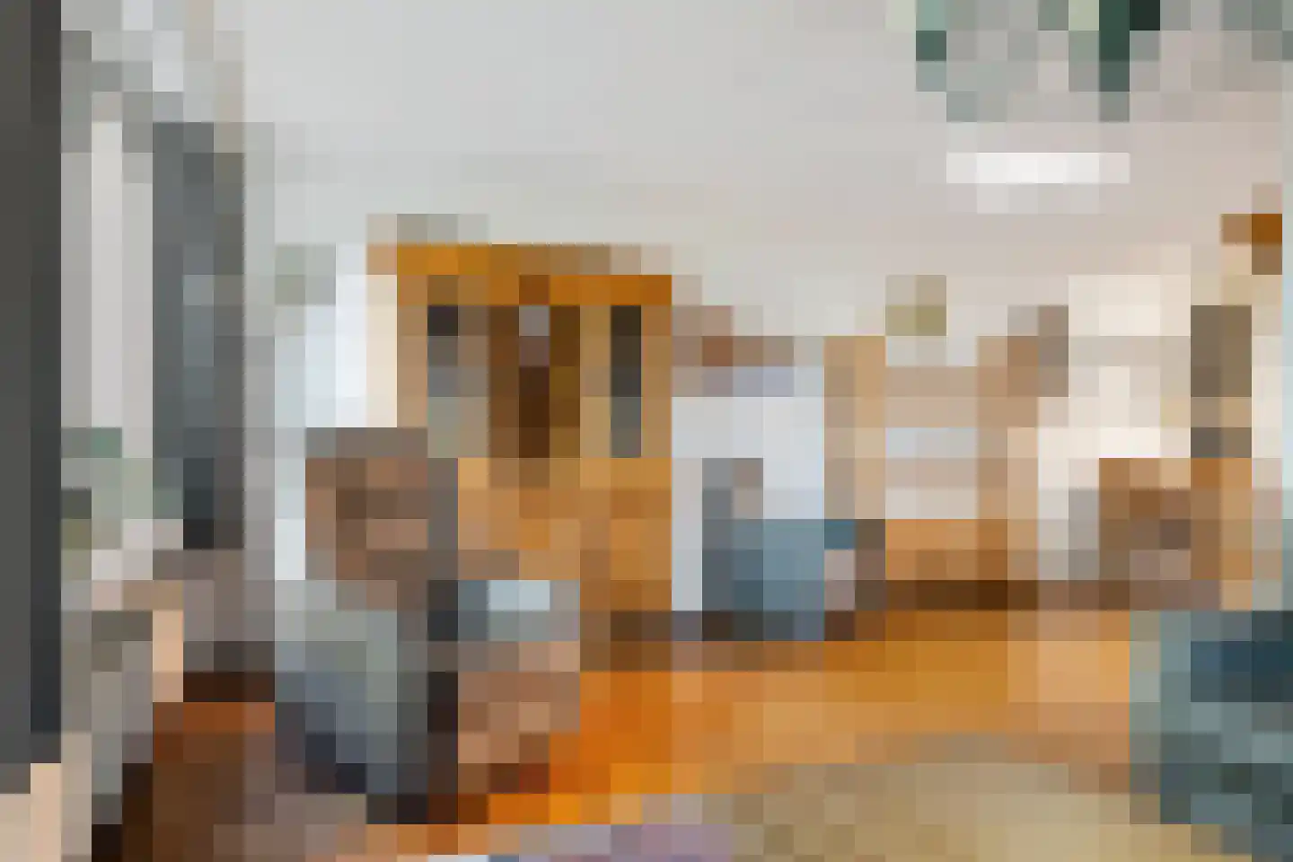 Hooybrink 7 Vledder thumbnail 8