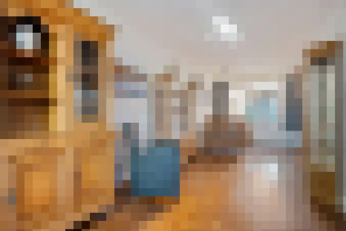 Hooybrink 7 Vledder thumbnail 9