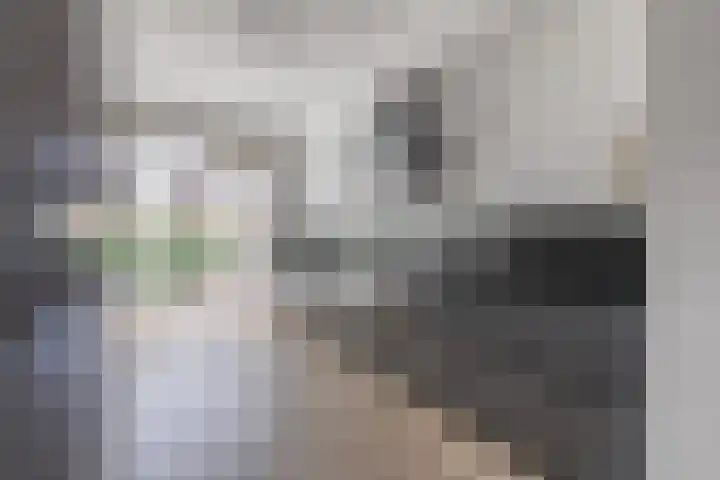 Hooykamplaan 4 Uitgeest thumbnail 11