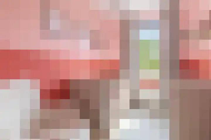 Hooykamplaan 4 Uitgeest thumbnail 19