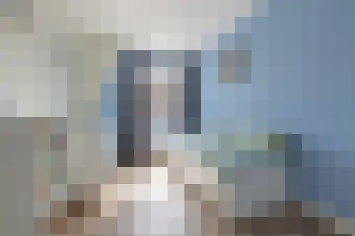 Hooykamplaan 4 Uitgeest thumbnail 20
