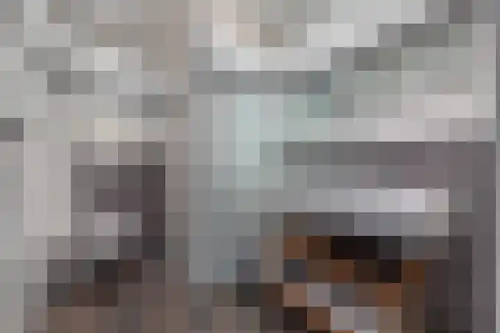 Hooykamplaan 4 Uitgeest thumbnail 21