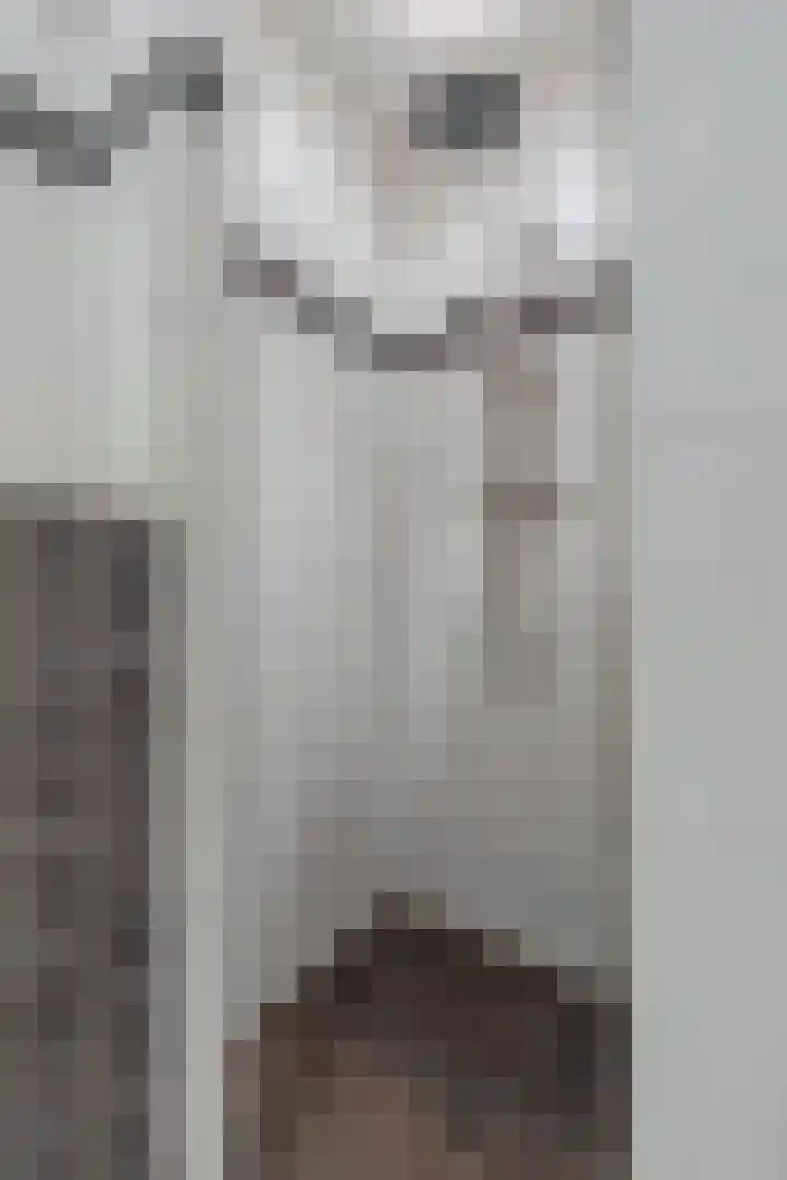 Hooykamplaan 4 Uitgeest thumbnail 22