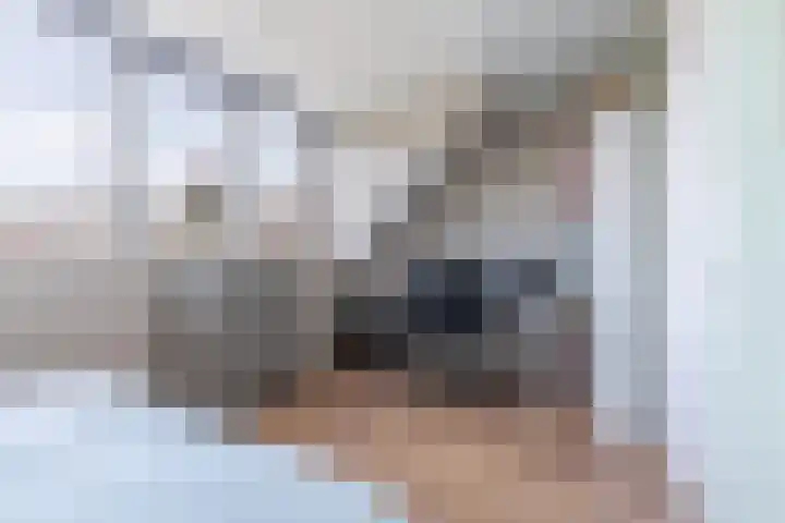 Hooykamplaan 4 Uitgeest thumbnail 27