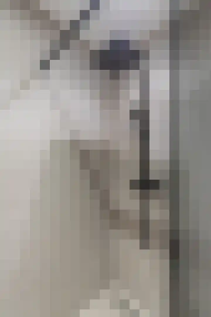 Hooykamplaan 4 Uitgeest thumbnail 29