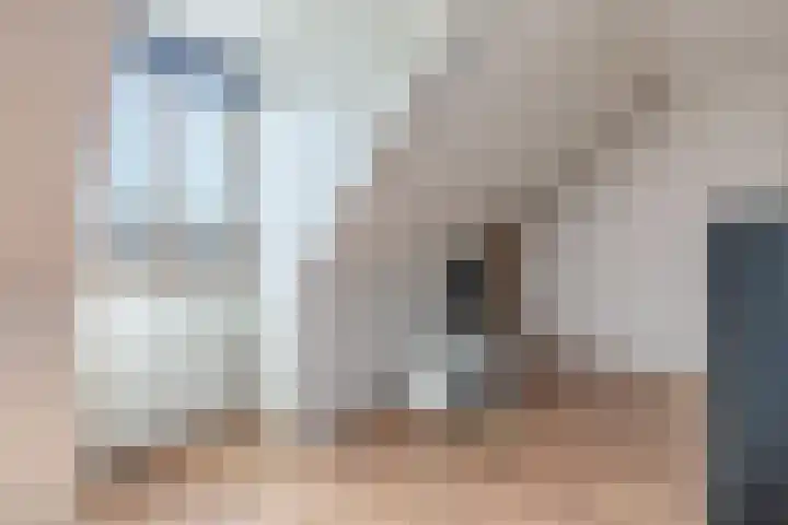Hooykamplaan 4 Uitgeest thumbnail 32