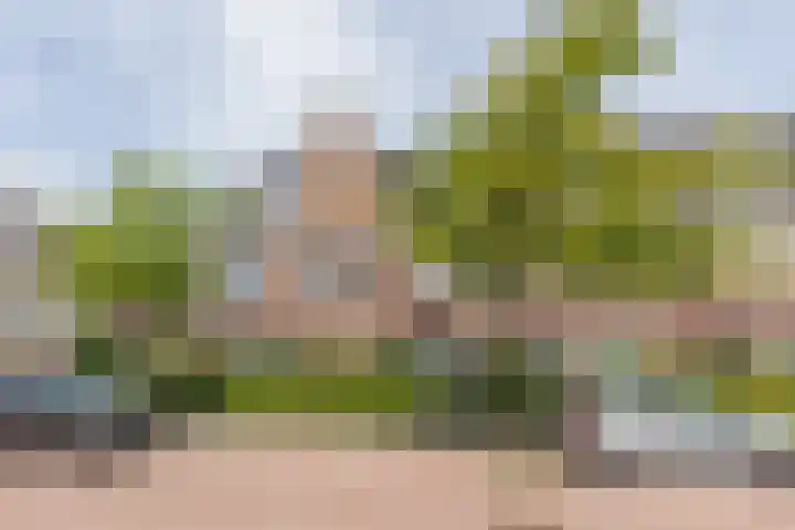 Hooykamplaan 4 Uitgeest thumbnail 36