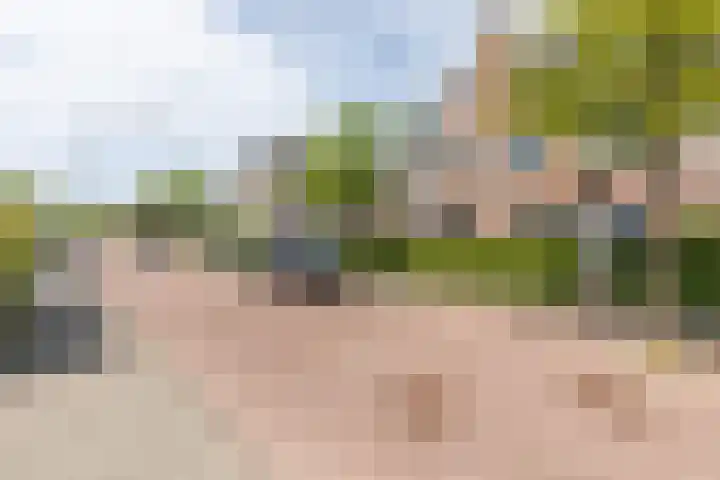 Hooykamplaan 4 Uitgeest thumbnail 37