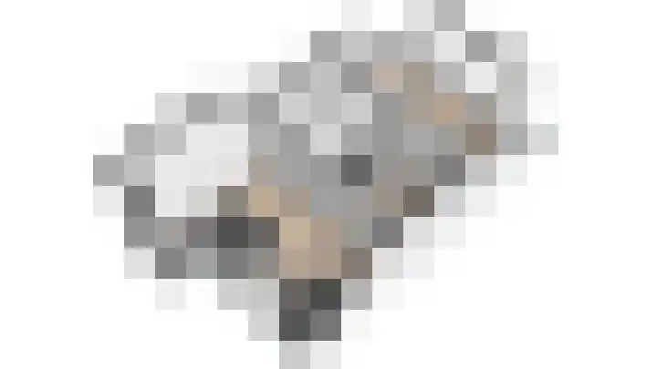 Hooykamplaan 4 Uitgeest thumbnail 46