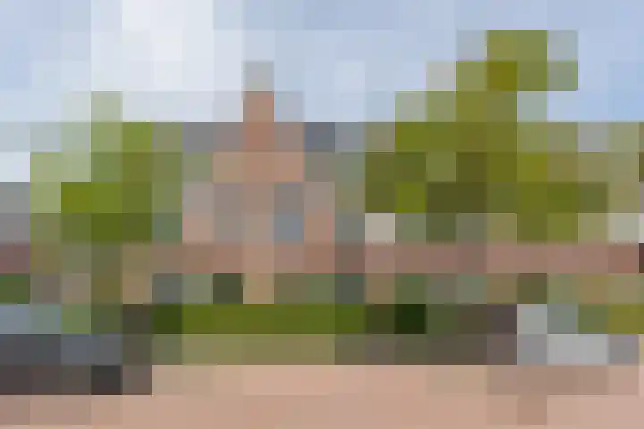 Hooykamplaan 4 Uitgeest thumbnail 49