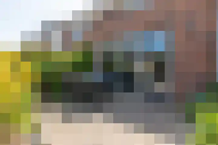 Hooykamplaan 4 Uitgeest thumbnail 5