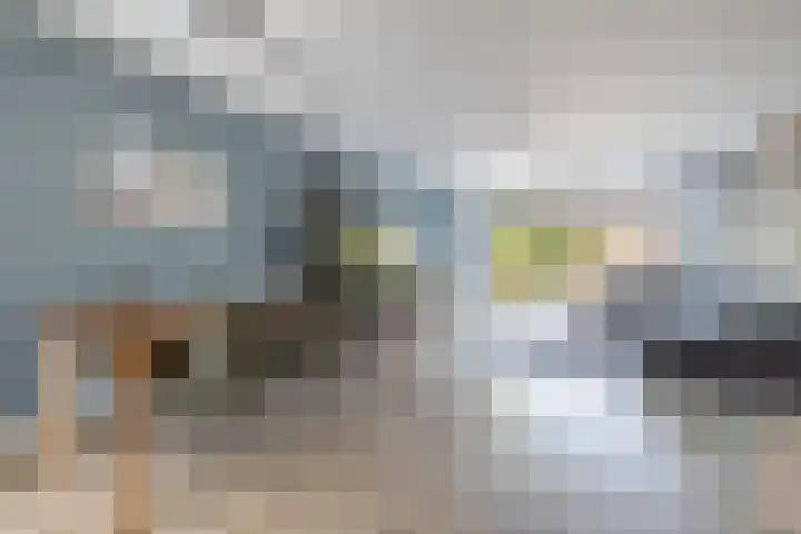 Hooykamplaan 4 Uitgeest thumbnail 6