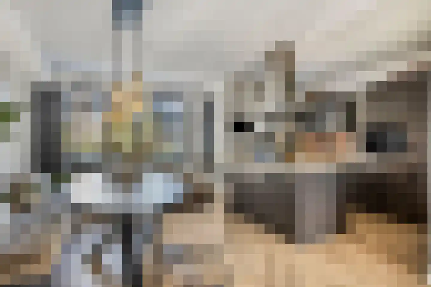 Hooykamplaan 41 Uitgeest thumbnail 11