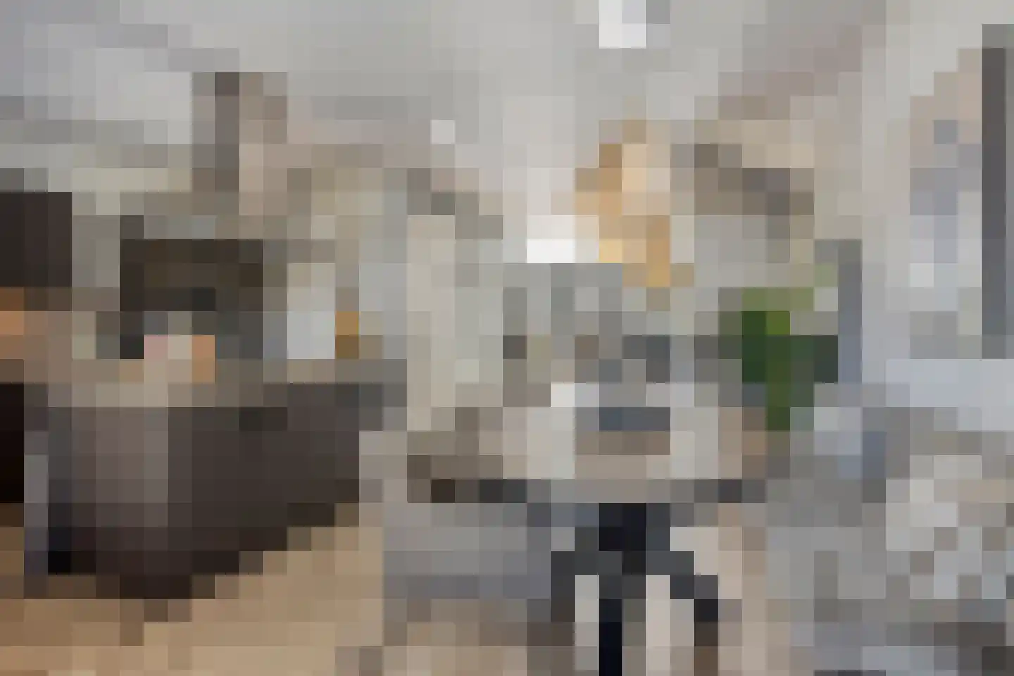 Hooykamplaan 41 Uitgeest thumbnail 13