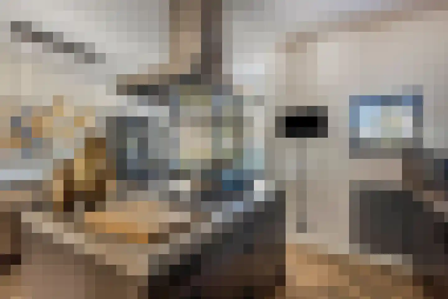 Hooykamplaan 41 Uitgeest thumbnail 15