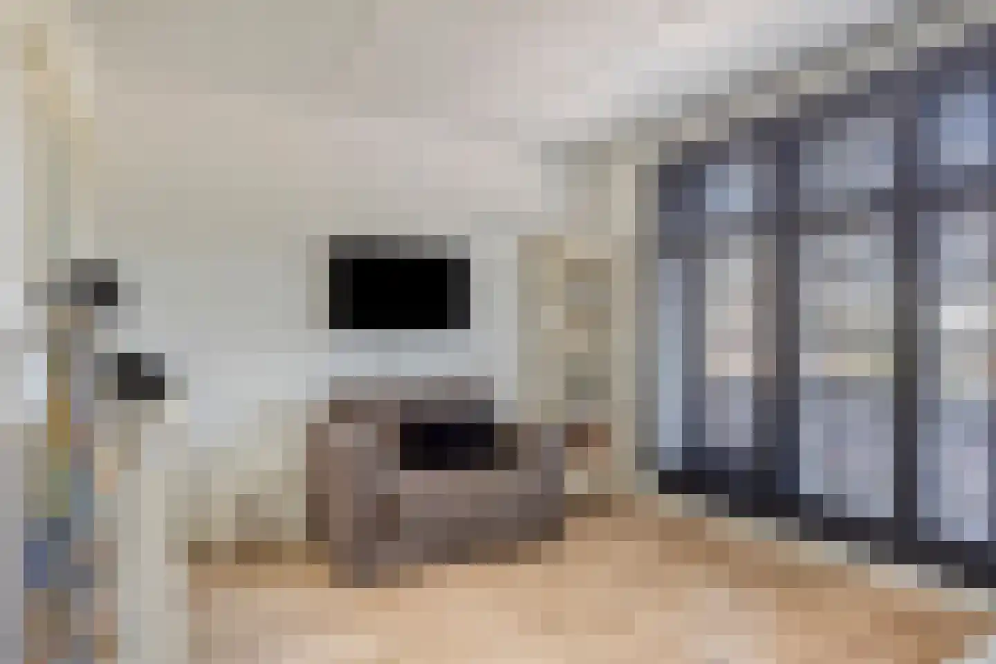 Hooykamplaan 41 Uitgeest thumbnail 23