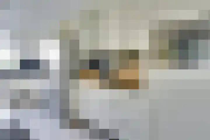 Hop-oord 1 Houten thumbnail 19