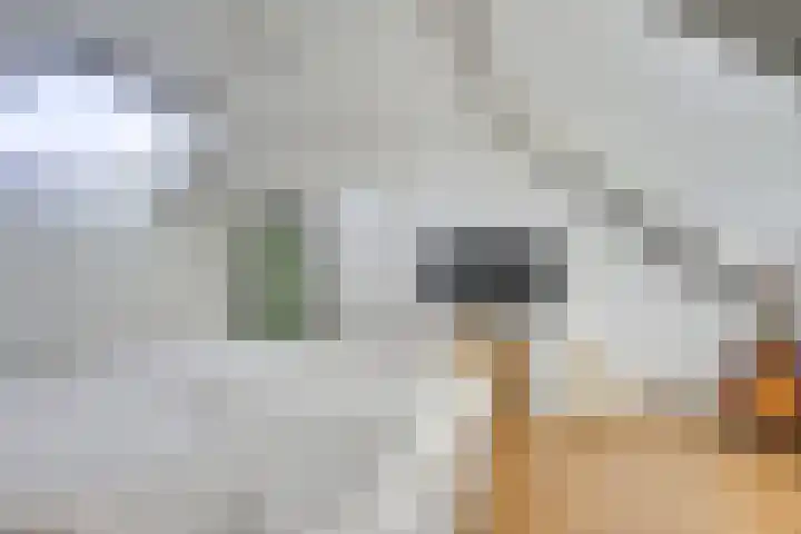 Hop-oord 1 Houten thumbnail 50