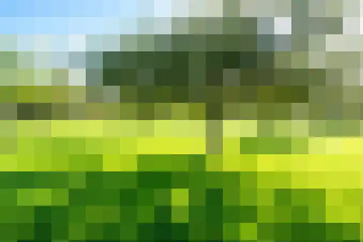 Hop-oord 1 Houten thumbnail 57