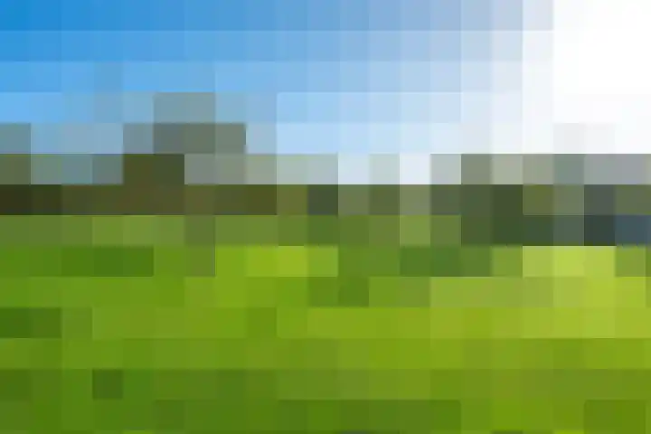 Hop-oord 1 Houten thumbnail 58