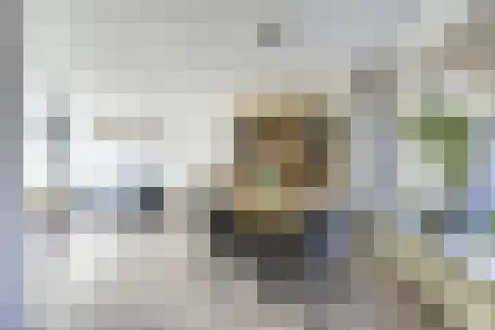 Hop-oord 1 Houten thumbnail 8