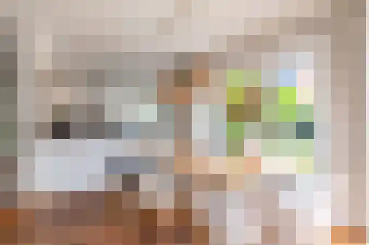 Hop-oord 17 Houten thumbnail 14