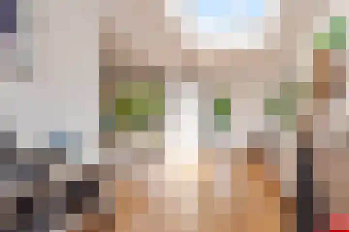 Hop-oord 17 Houten thumbnail 22