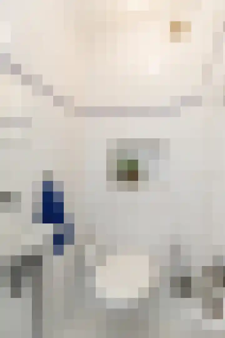 Hop-oord 17 Houten thumbnail 29