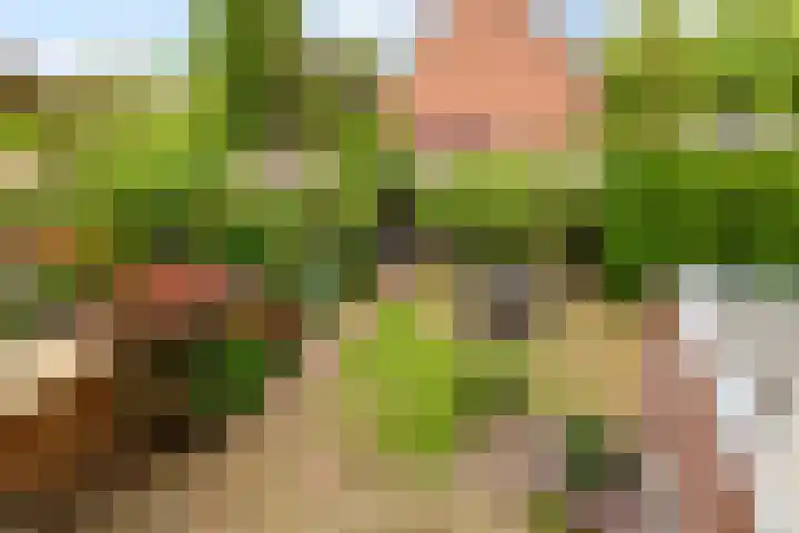 Hop-oord 17 Houten thumbnail 50