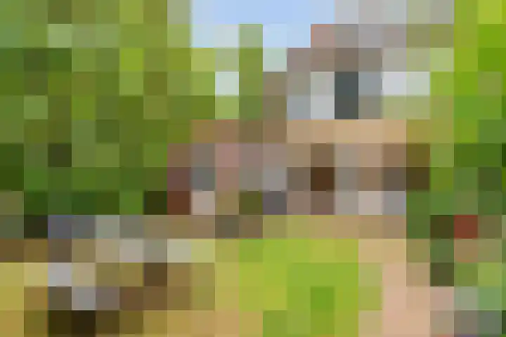 Hop-oord 17 Houten thumbnail 53