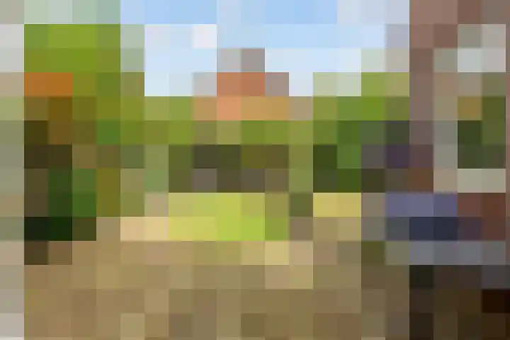 Hop-oord 17 Houten thumbnail 54