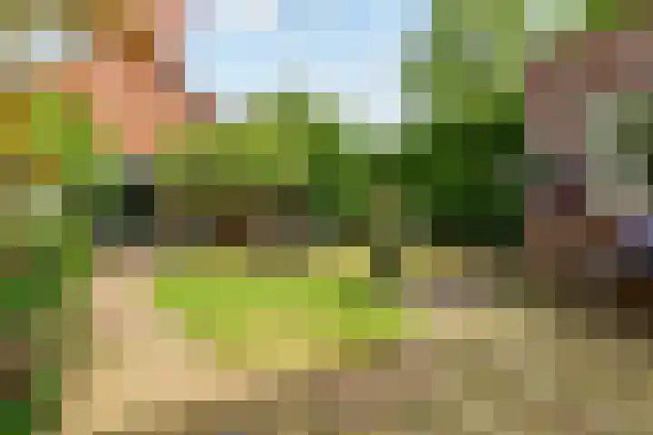 Hop-oord 17 Houten thumbnail 56