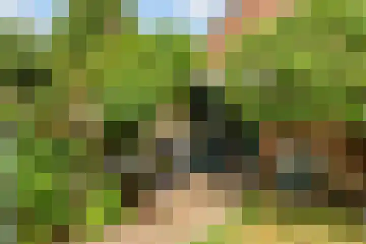 Hop-oord 17 Houten thumbnail 58