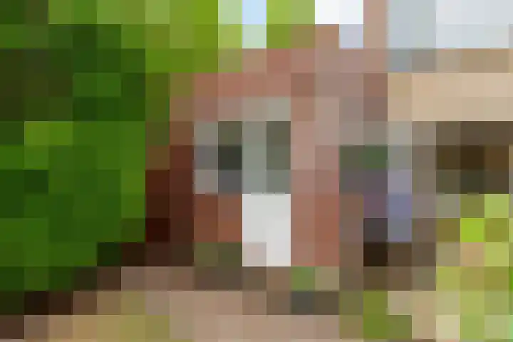 Hop-oord 17 Houten thumbnail 59