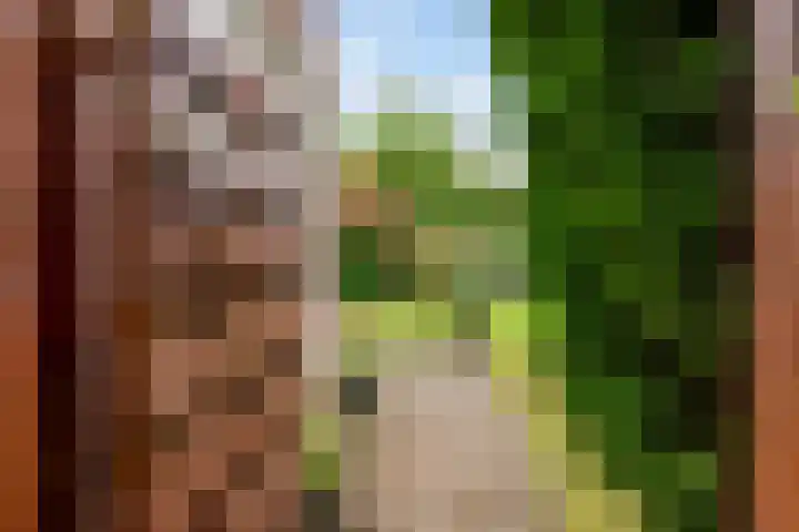 Hop-oord 17 Houten thumbnail 60
