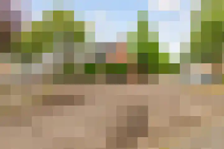 Hop-oord 17 Houten thumbnail 63
