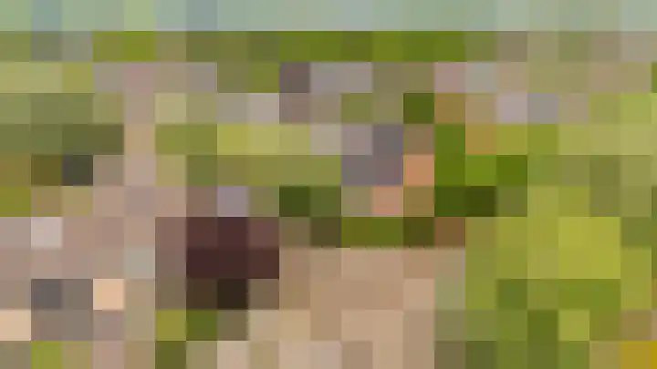 Hop-oord 17 Houten thumbnail 64