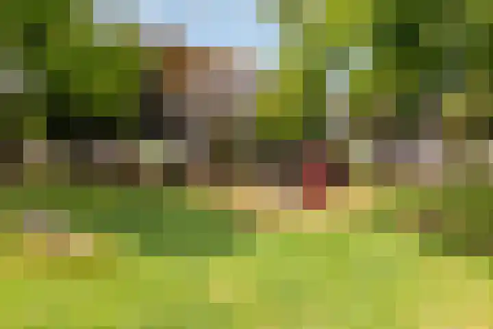 Hop-oord 17 Houten thumbnail 65