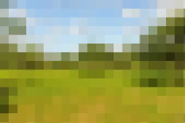 Hop-oord 17 Houten thumbnail 66