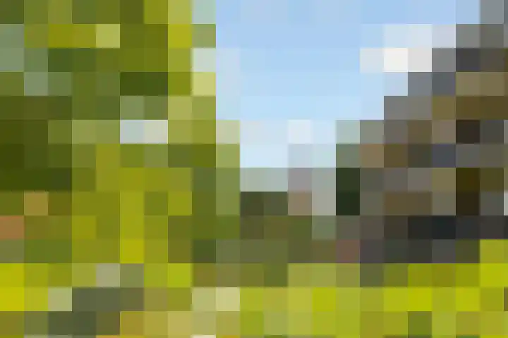 Hop-oord 17 Houten thumbnail 67